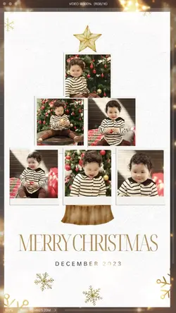 Cây thông Giáng sinh