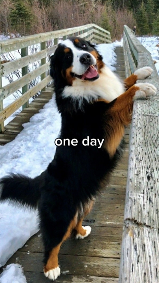 One day or day one