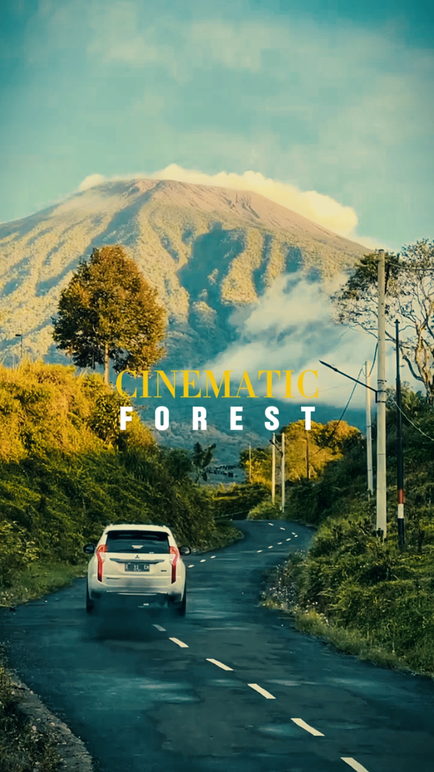 cinematic forest