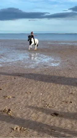 Beach vibes 🏖️🌊☀️