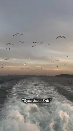 "Oyun Sona Erdi"