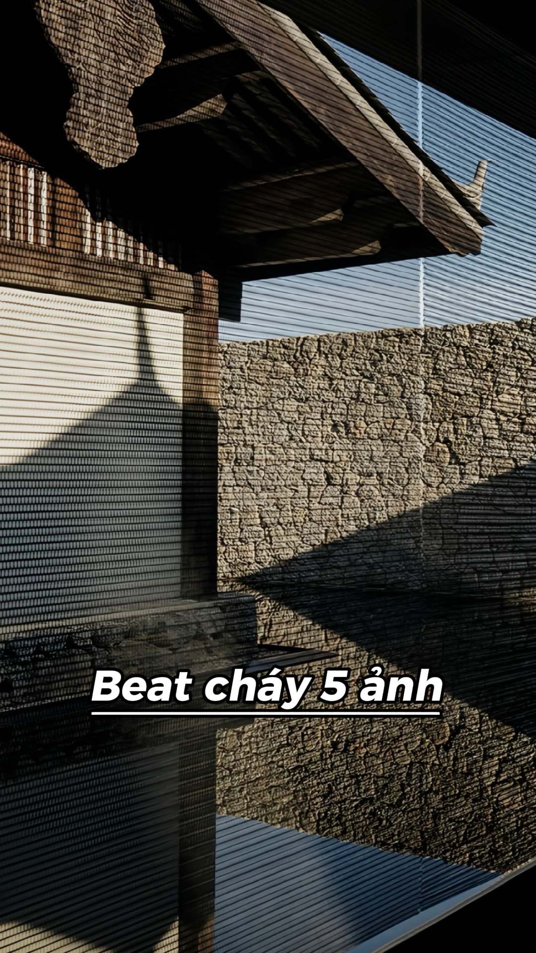 Phonk 5 ảnh