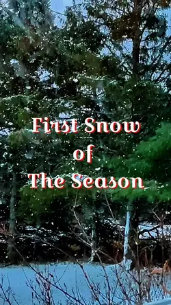 Snowy 
