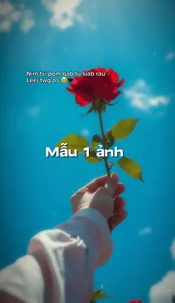 Nim tsi pom qab tu 🥀