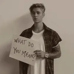 What Do You Mean 