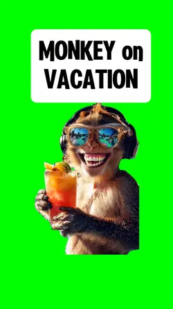 MONKEY ON VACATION
