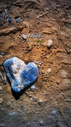 ฝังไว้ในผืนดิน