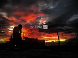 boxing 