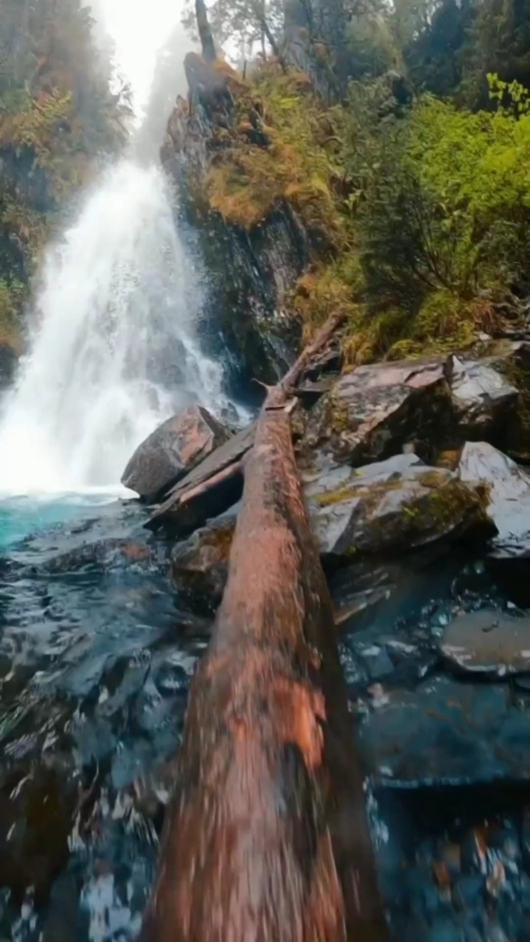 10 videos o fotos