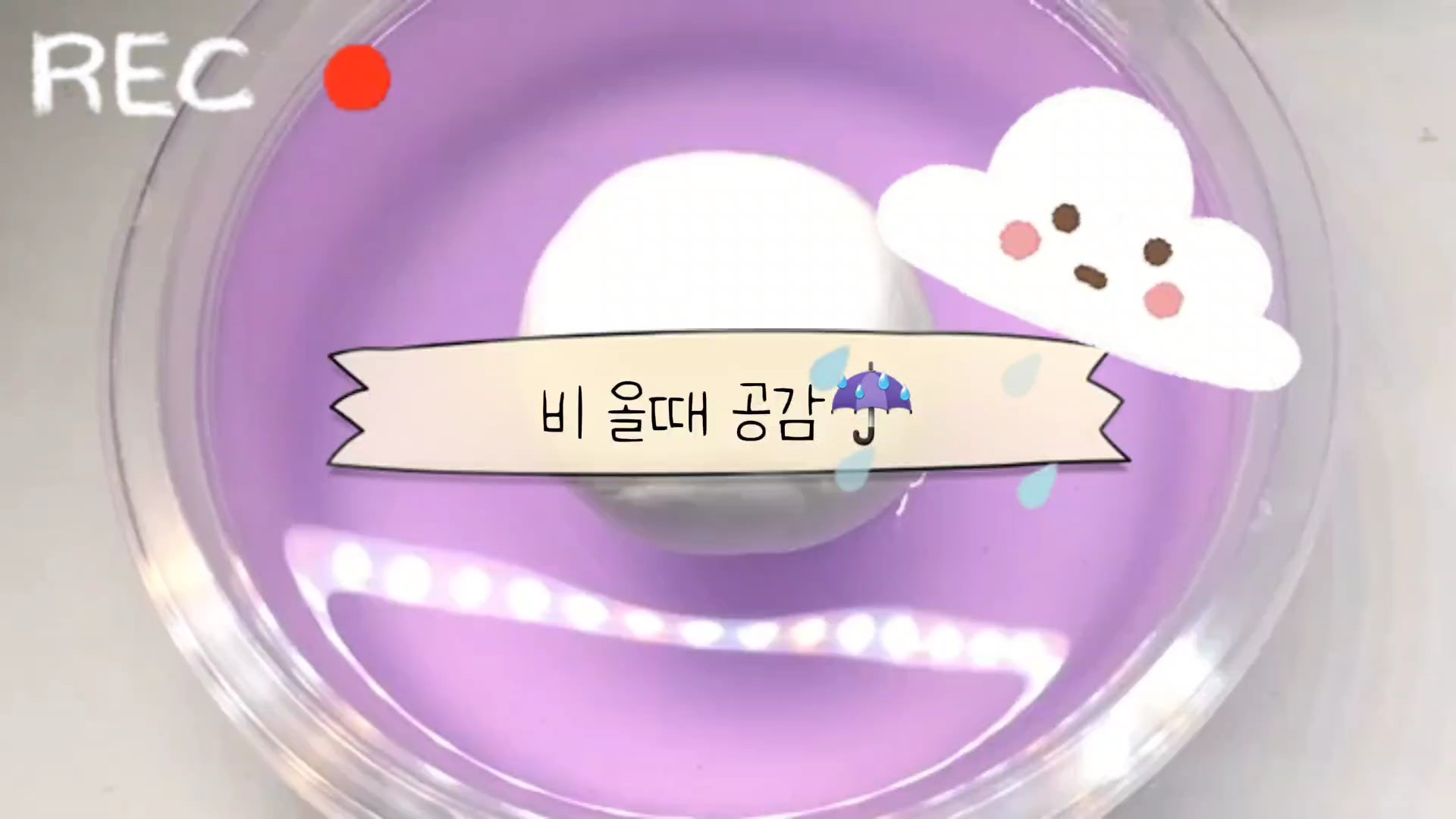 비올때공감!