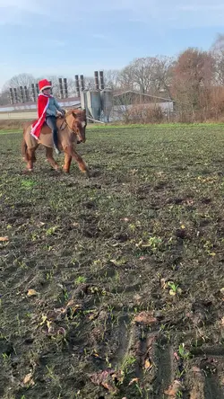 Monty🔜Dressagehorse🤭