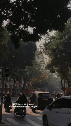 Tết này con sẽ về