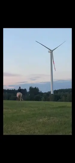 fliegen 😍🥹