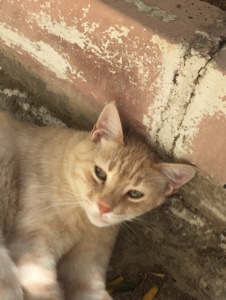 Ölme kızım be...💔