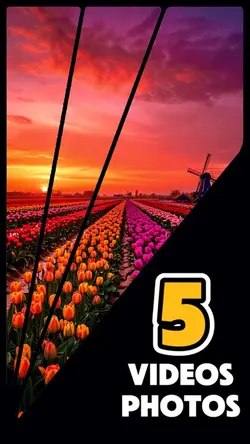 5 videos or photos