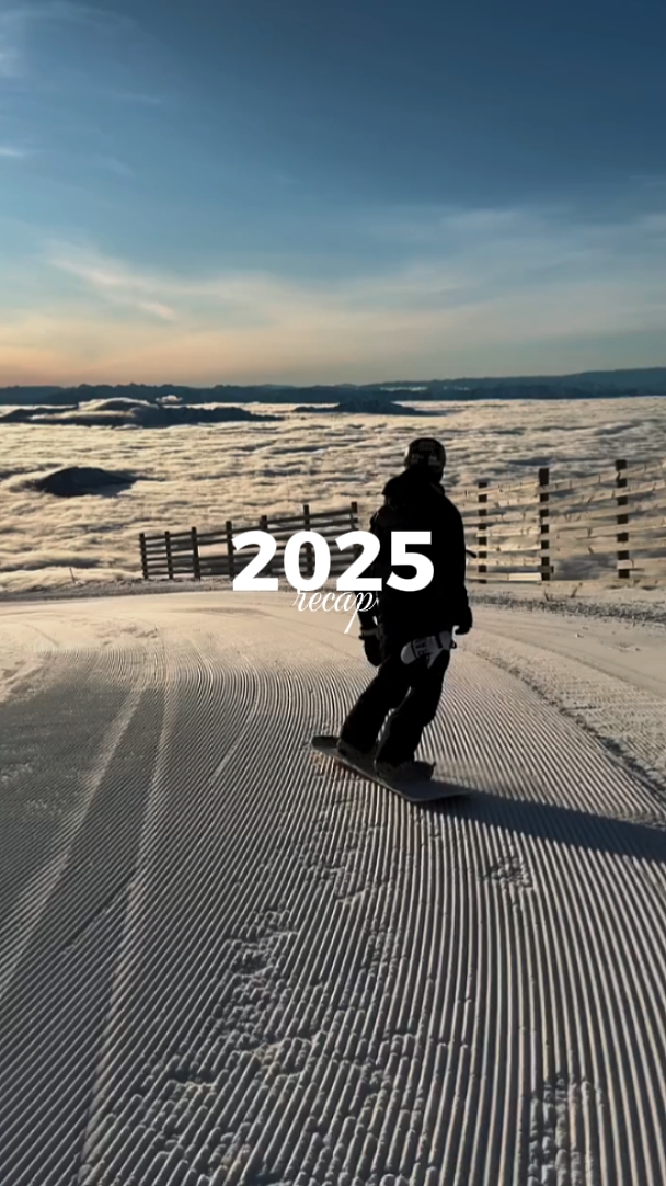 Resumen de 2025