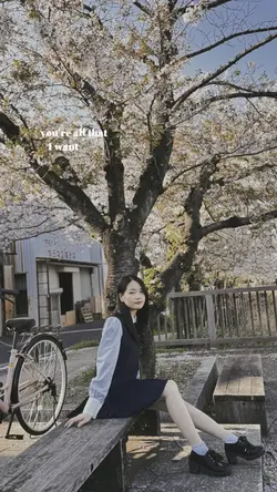 1 ảnh sakura vintage