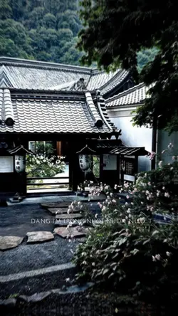 pic 2 ảnh