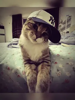 💋
