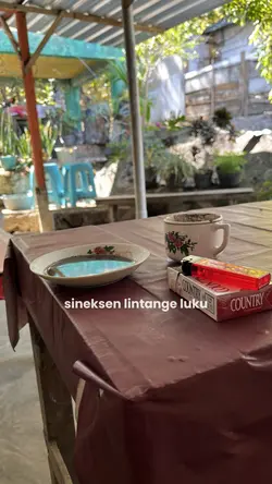 Nyidam sari