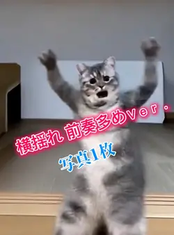 横揺れ 前奏多めＶｅｒ．