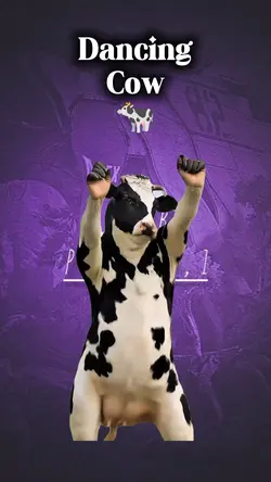 JAYED NEW MASTER