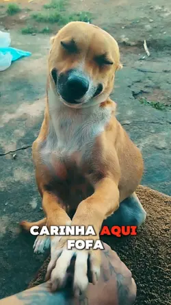 Carinha fofa