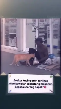 kucingny pinter