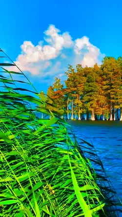Nature High quality