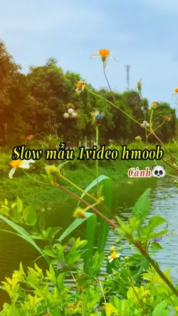 Slow mẫu 1video hmob