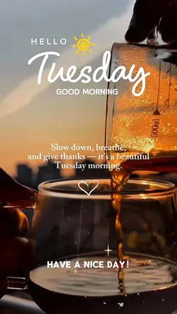 Hello Tuesday 🙏