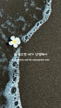 chani-starlight