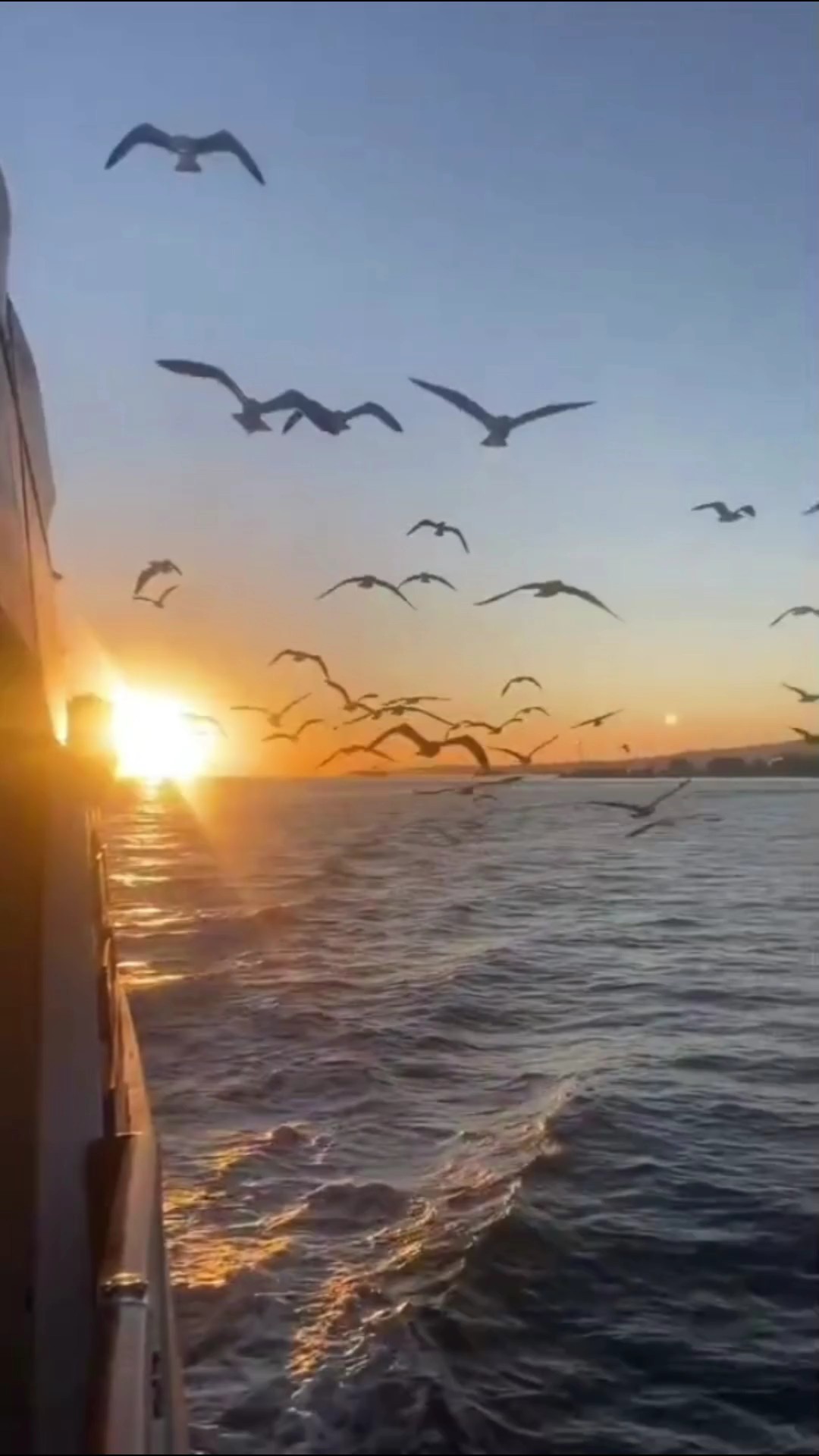 #ล่องเรือ #ชมวิว