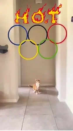 Olympics โอลิมปิก 