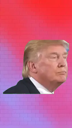 TRUMP PENSANDO 