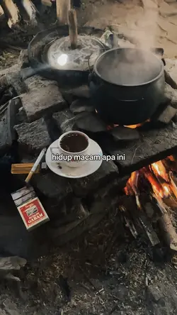 hidup macam apa ini