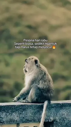 harus tetap meluncur