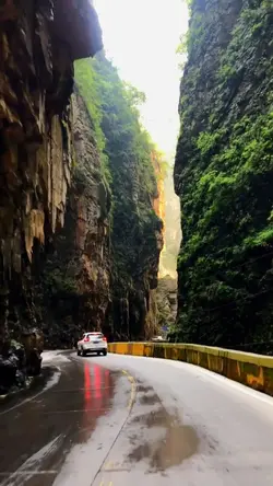 Travel 19