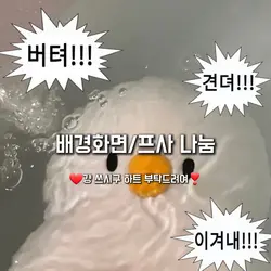 배경화면 나눔