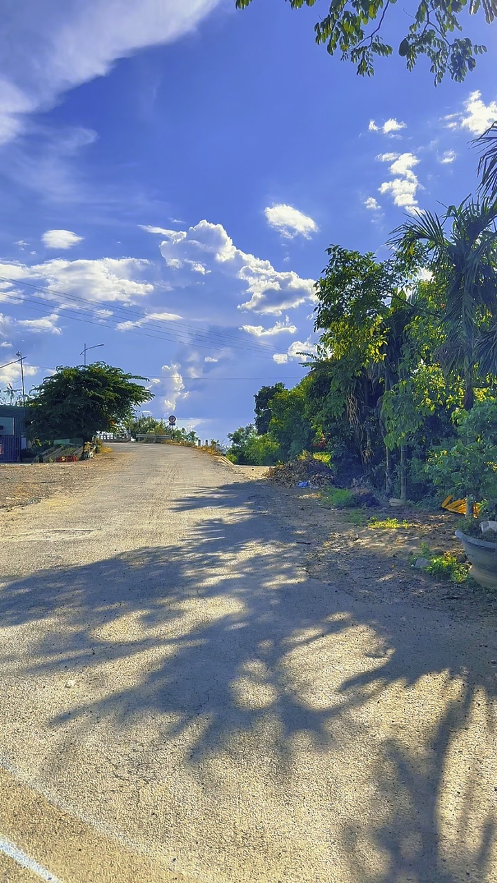 Chiều tà