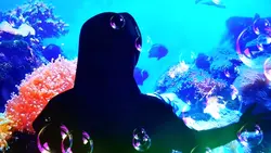 aquarium TV trend