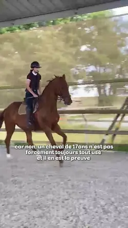 vieux cheval