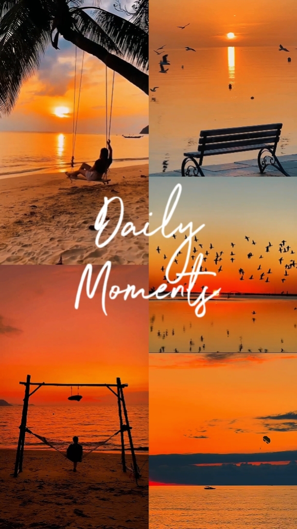 DAILY MOMENTS 