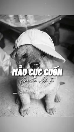 BEAT 2 ẢNH GIẬT NHẸ 