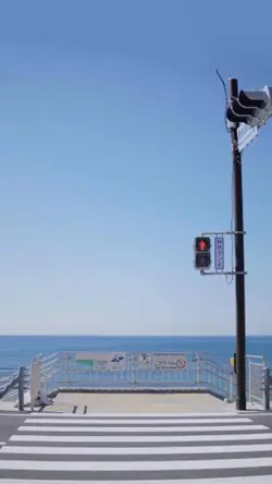 365日 pesawat kertas 