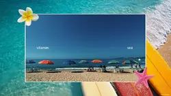 vitamin sea