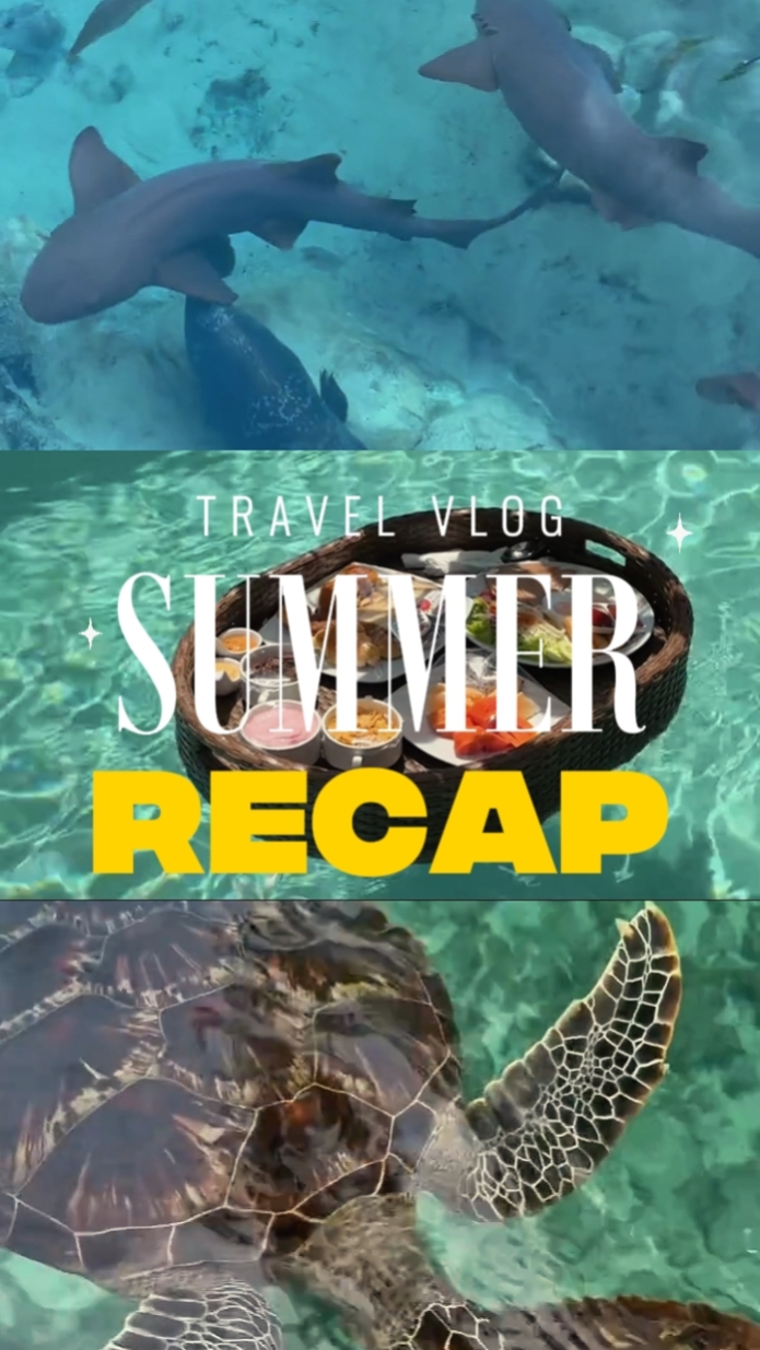 Summer Recap