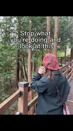 Stop+Look at this 📸