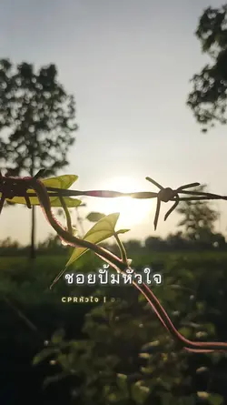 CPRหัวใจ