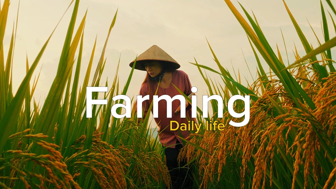 daily life. farming